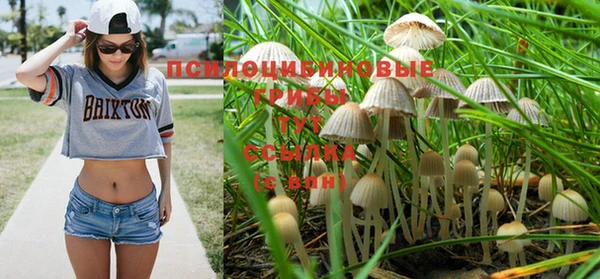 индика Балахна