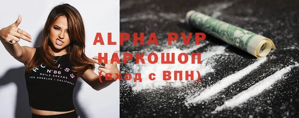 индика Балахна