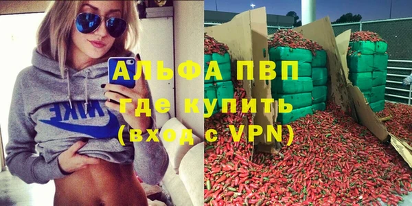 крисы Белокуриха