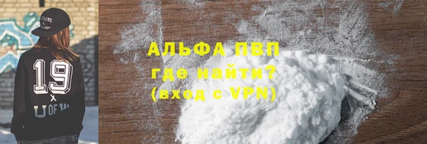 индика Балахна