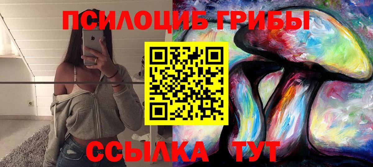 Галлюциногенные грибы мицелий  дарнет шоп  Дальнегорск  Вход с VPN 