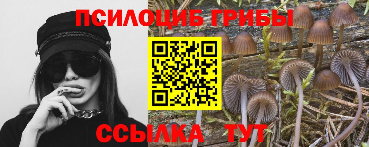 Галлюциногенные грибы Magic Shrooms Дальнегорск