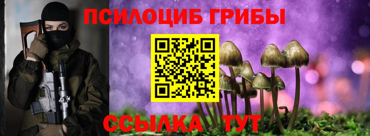 Псилоцибиновые грибы MAGIC MUSHROOMS Дальнегорск